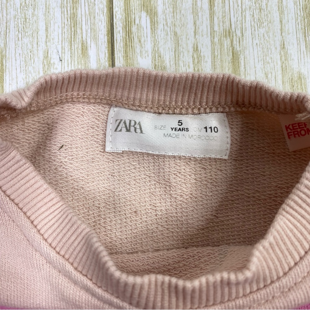 Zara Kids Pink Contrasting Apple Long Sleeve Dress - Picture 5 of 7